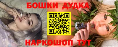 спиды Гай