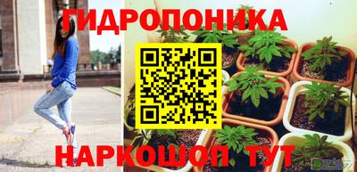 спиды Гай