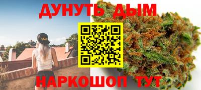 спиды Гай