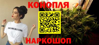 спиды Гай
