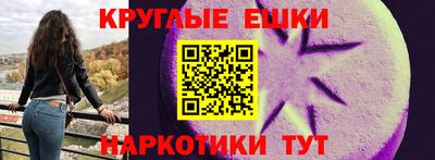 спиды Гай