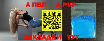 спиды Гай