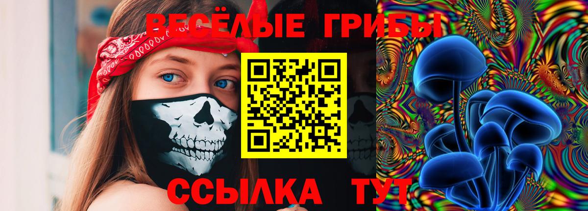 Псилоцибиновые грибы прущие грибы  Вход с VPN  Москва  Псилоцибиновые грибы мицелий 
