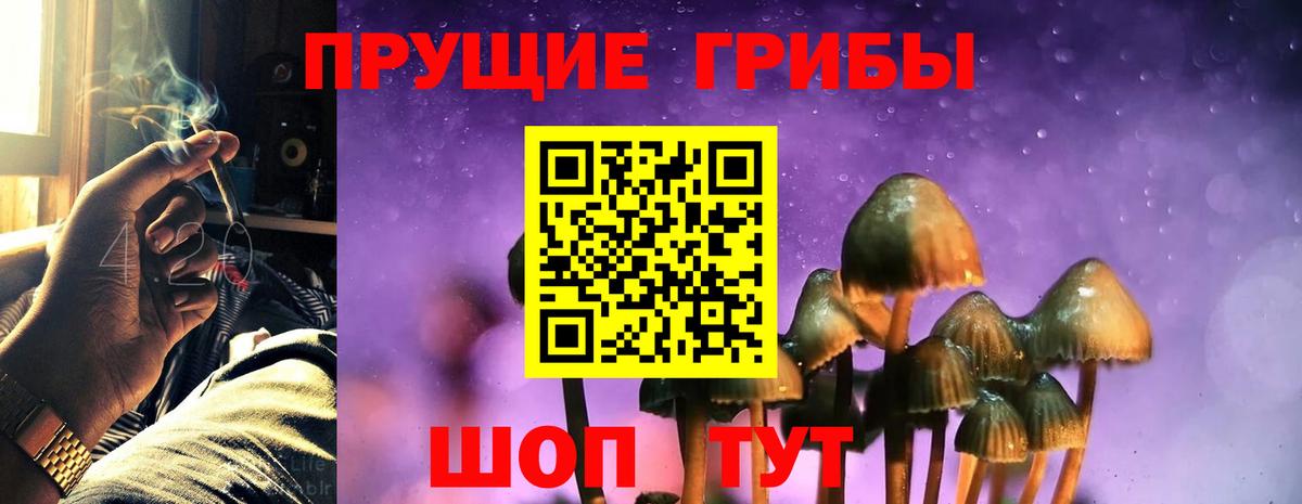 Галлюциногенные грибы мицелий Москва